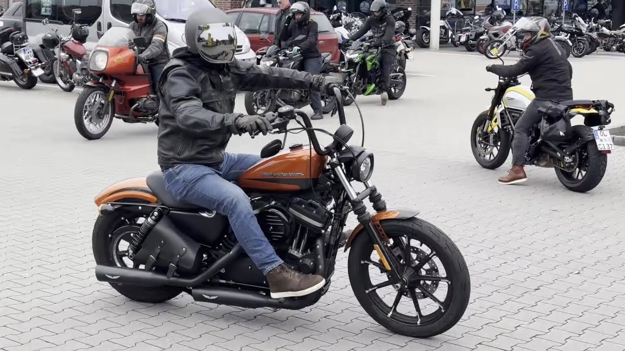 Harley, Best of 2024 and 2025 Part 6 #harley #custom