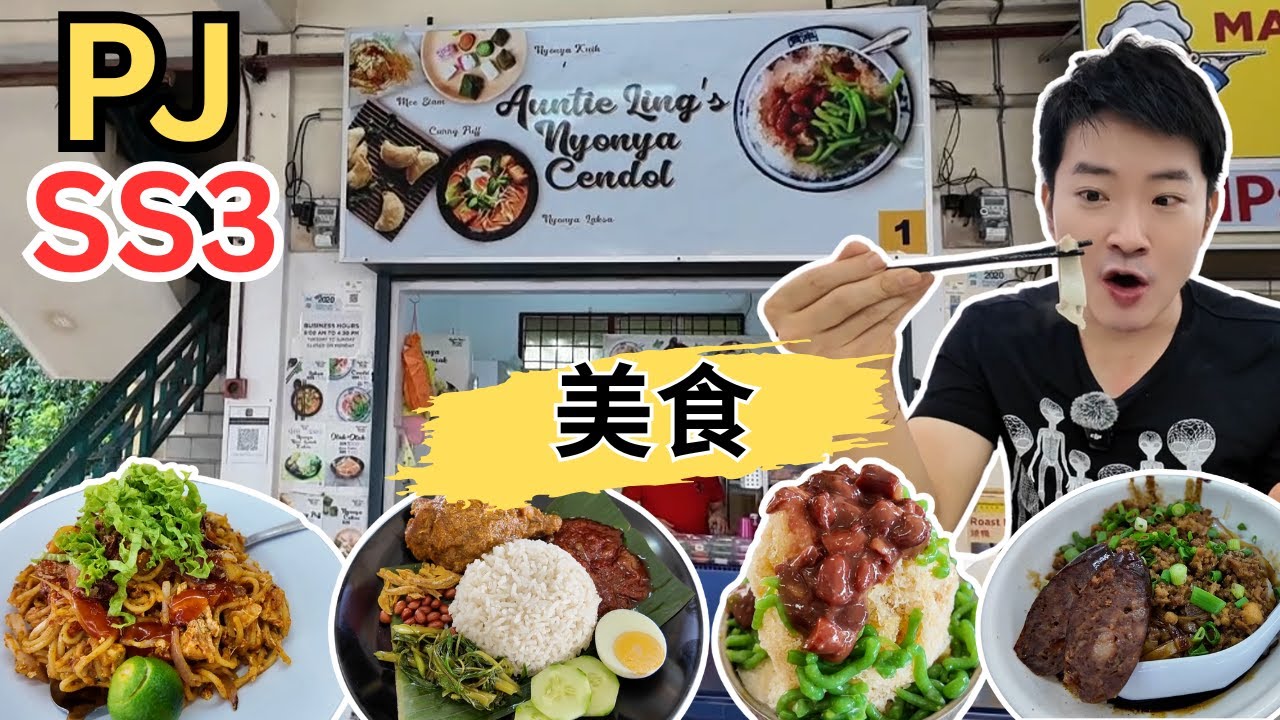 [PJ SS3 ～美食] 每天排长龙的Auntie Ling's Cendol，椰浆饭，娘惹叻沙！MJ SS3茶室胡椒猪肚汤，怡保冬菇猪肠粉！新州海南鸡饭！潮记干炒羊肉河！炒爪哇面！海南鸡扒！