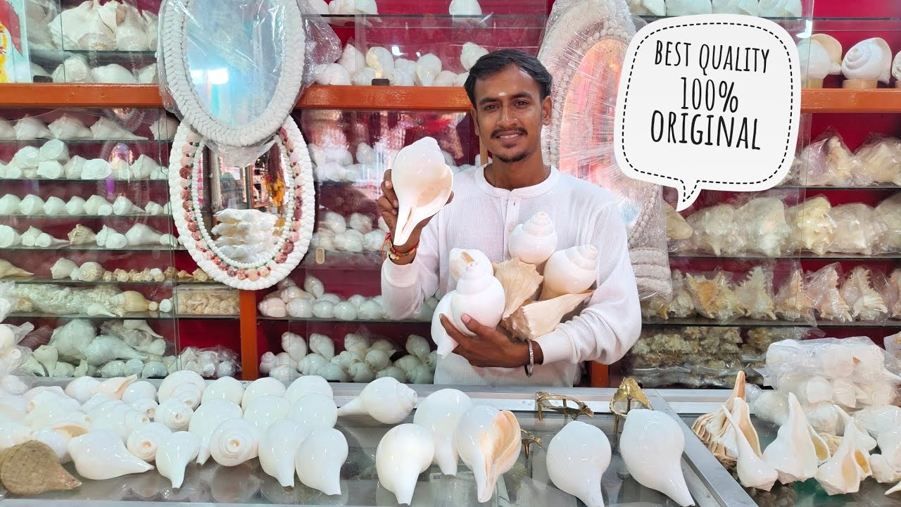 Pooja shankh 😍 Best quality Right hand left hand shank  #haridwar #puri #rameswaram