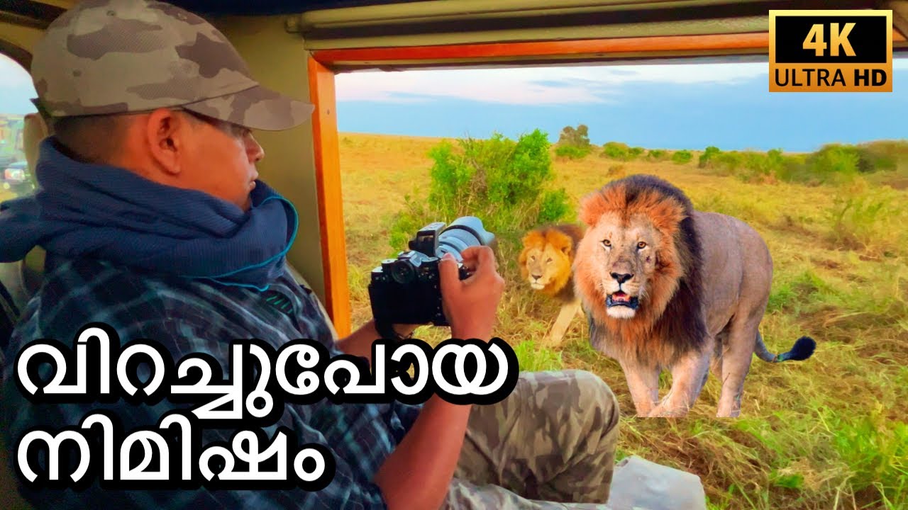A Very Close Encounter With African Lion | Maasai Mara Episode-5 | 4K UHD