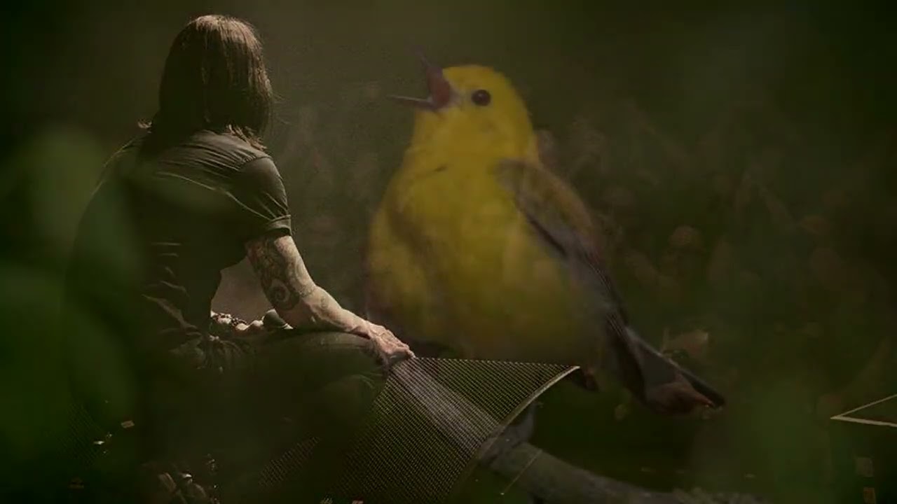 Myles Kennedy - Songbird (Subtítulos Español)