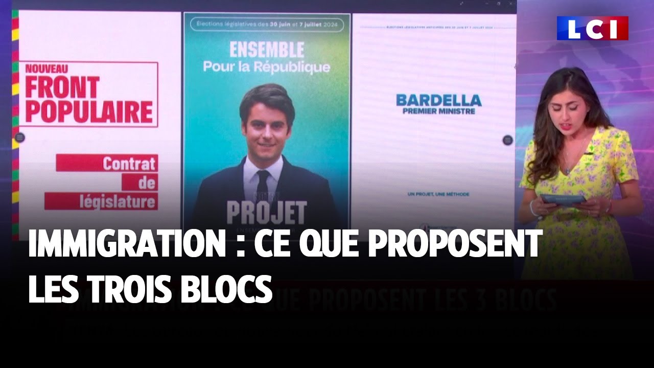 Immigration : ce que proposent les trois blocs