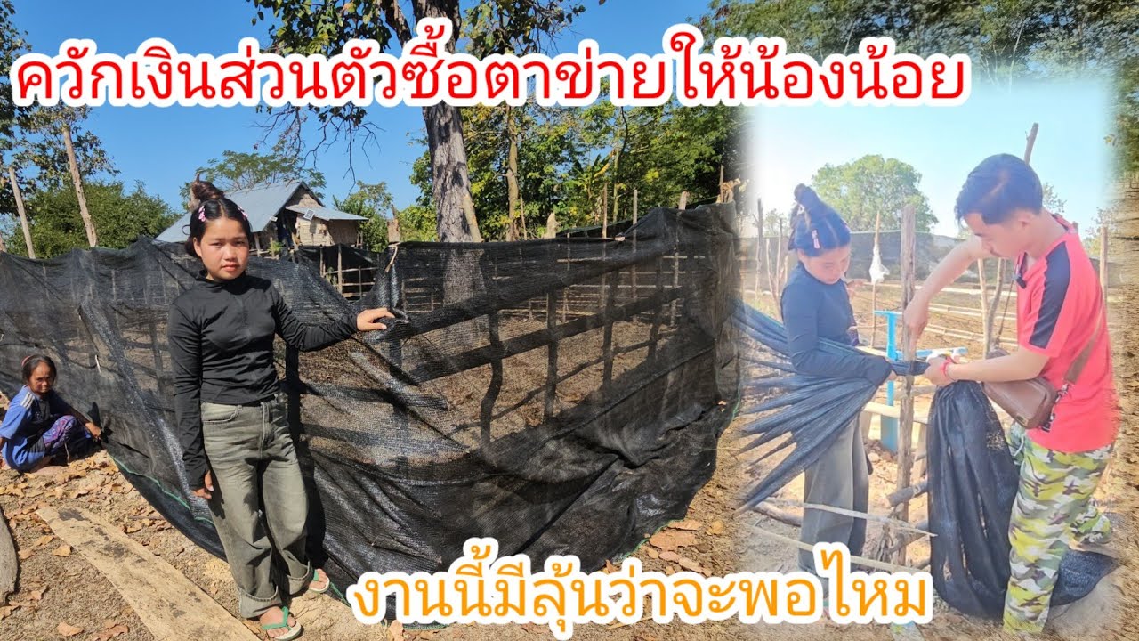 ควักเงินส่วนตัวซื้อตาข่ายมาให้น้องน้อยอ้อมรั้วสวนผัก #งานนี้มีลุ้นว่าจะพอหรือไม่ 29 มกราคม ค.ศ. 2026