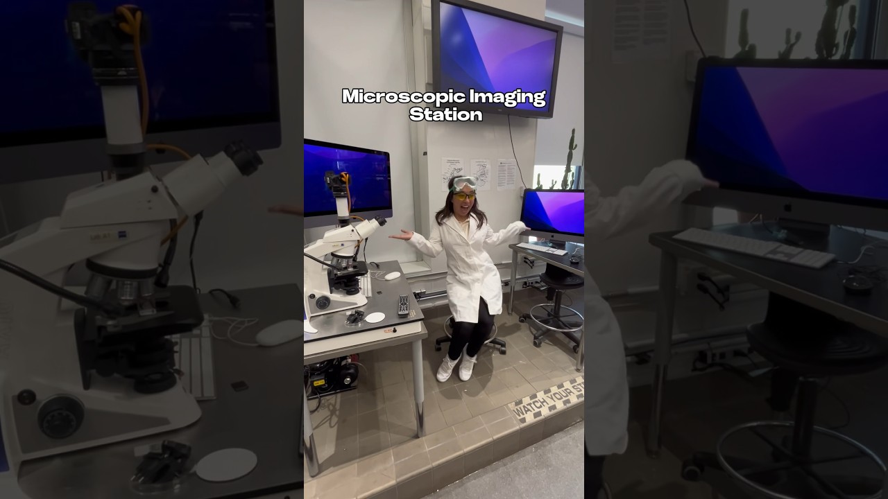A quick tour of the Bio Art Lab at #SVA ! #laboratory #art #bioart #science #artschool #artcollege