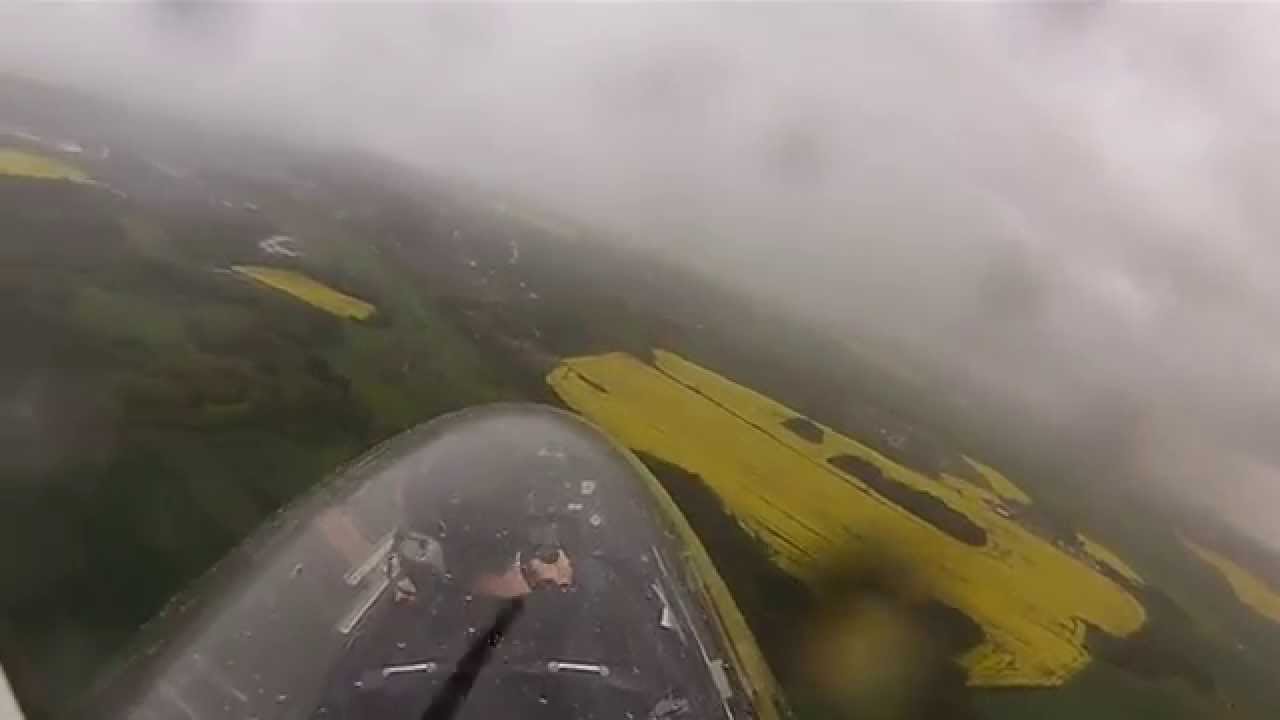 Calidus flying in the rain