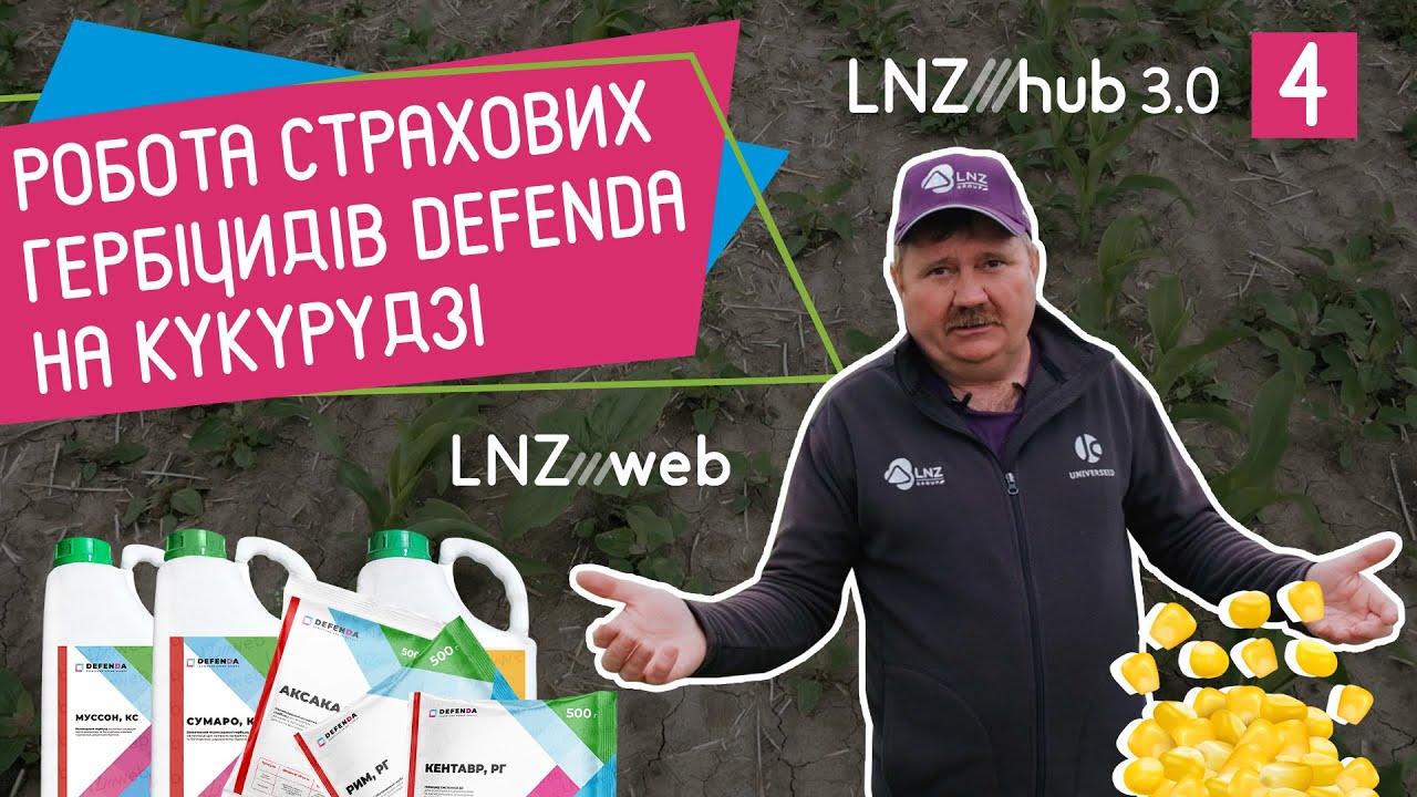 Сутичка з БУР‘ЯНАМИ на КУКУРУДЗІ. Результат страхових гербіцидів DEFENDA | LNZ Hub 3.0 #4