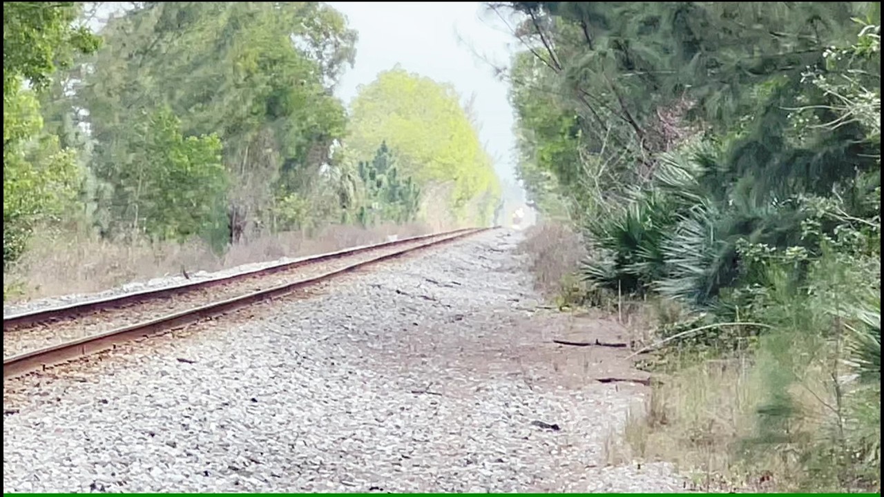 Full Speed Amtrak FLoridian Doing 79MPH