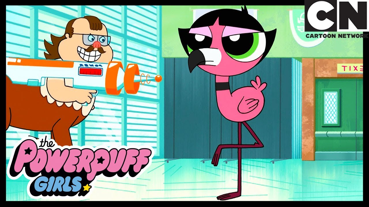 Maestro inusual | Las Chicas Superpoderosas | Cartoon Network