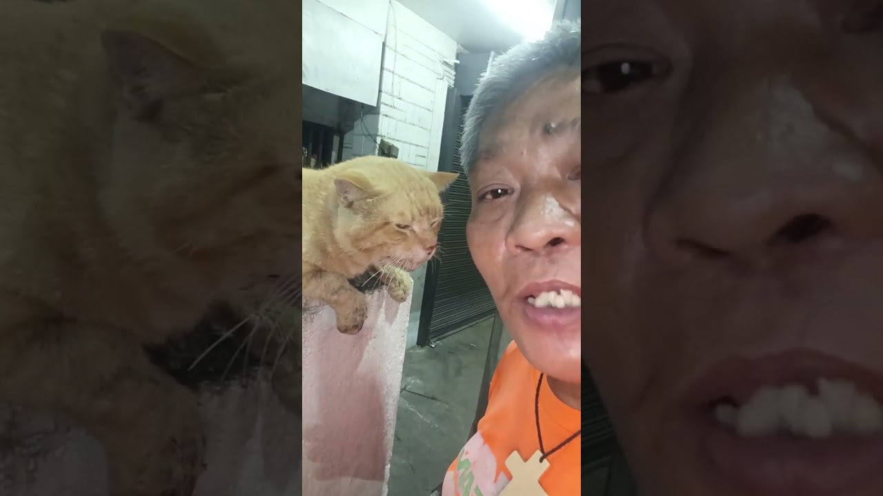 Pang walang update magaling na sya 