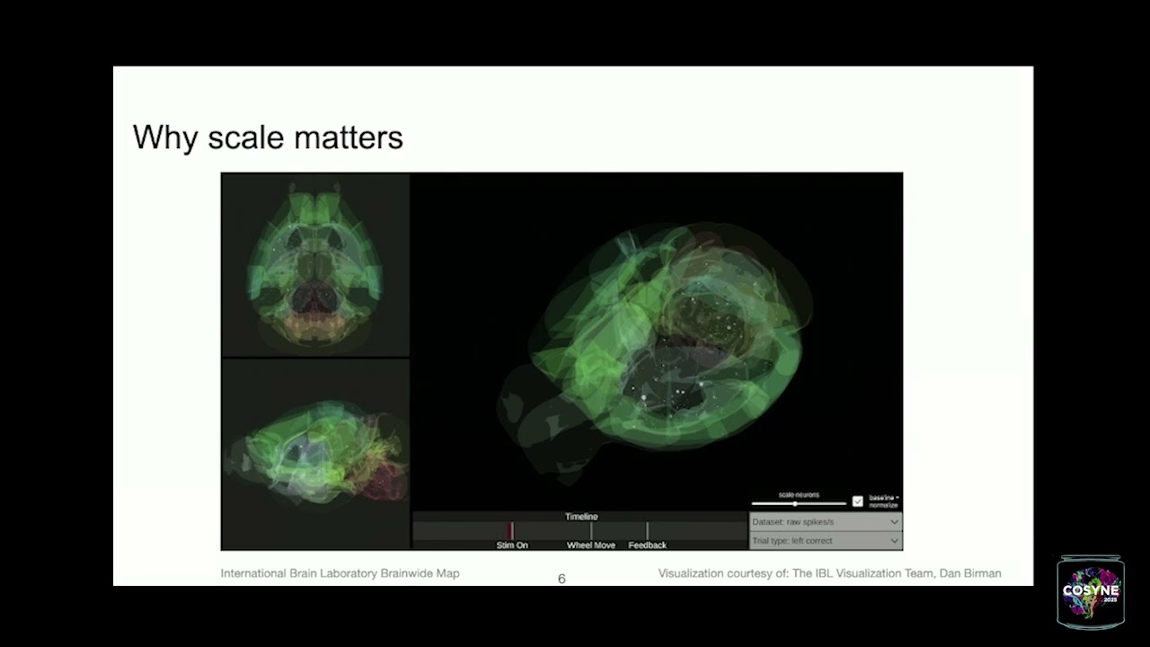 Cosyne 2025 Tutorial - Eva Dyer - Foundations of Transformers in Neuroscience