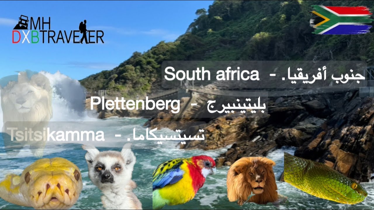 خليج بليتينبيرج و تسيتسيكاما في جنوب أفريقيا - Plettenberg Bay and Tsitsikamma in South Africa