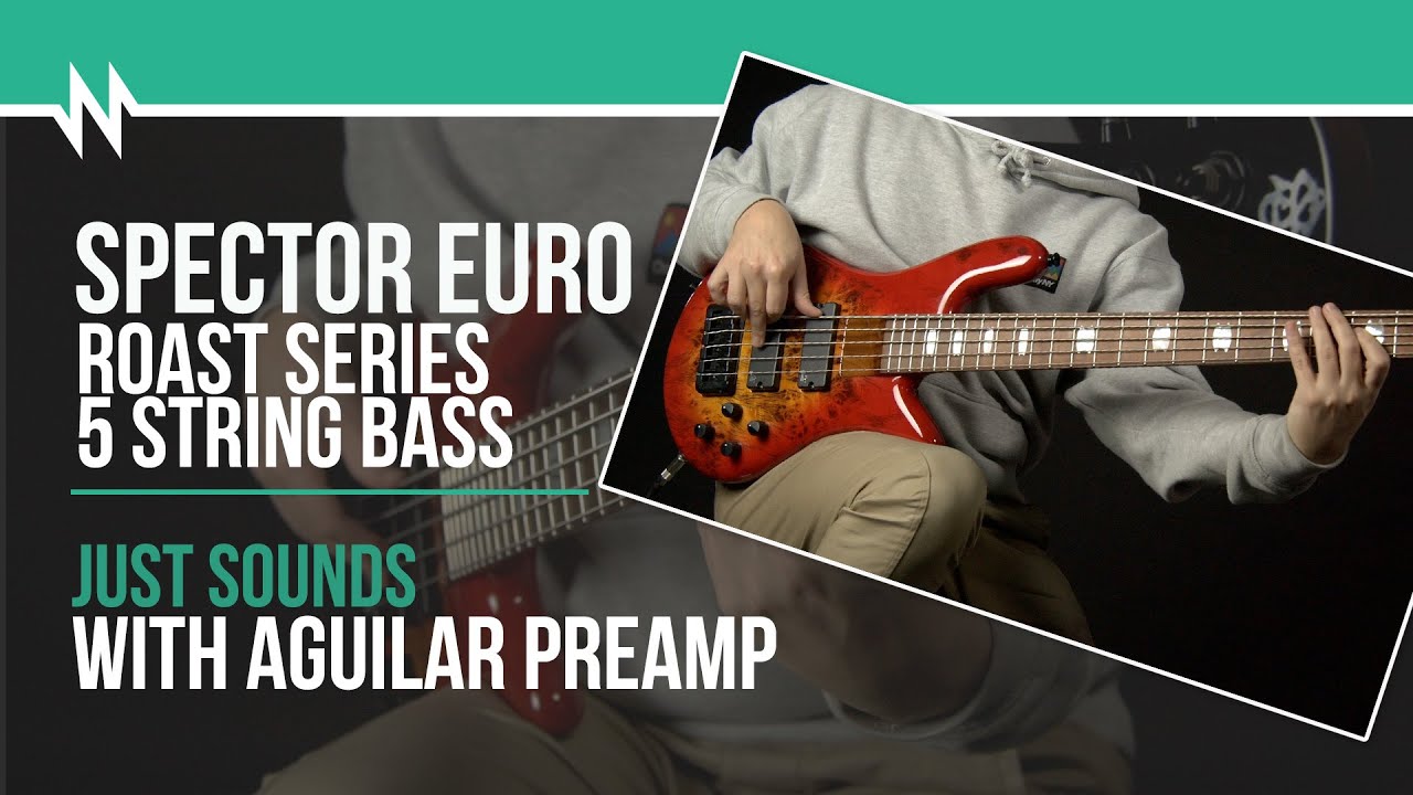 Just Sounds: Spector EURO Roast 5 String Bass Guitar With Aguilar Preamp