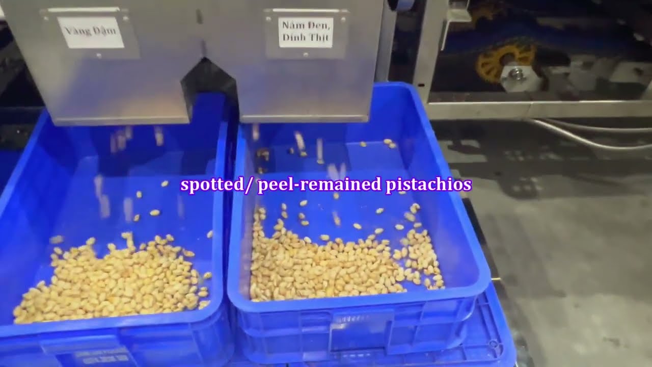 8 Pistachio Types Sorted By One Pass