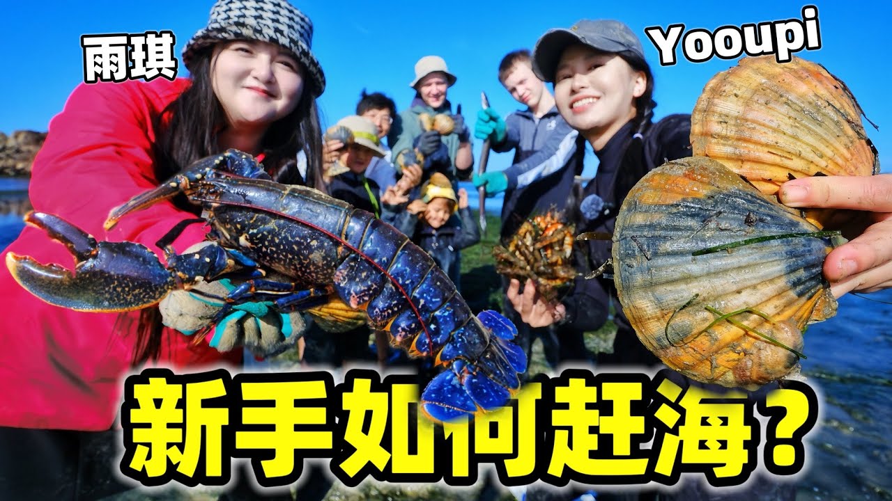 带一群新手法国赶海，居然拿下大龙虾？做海鲜盛宴真香！| 法國 | 赶海 | 鲍鱼 | 龙虾 | 搞笑 |