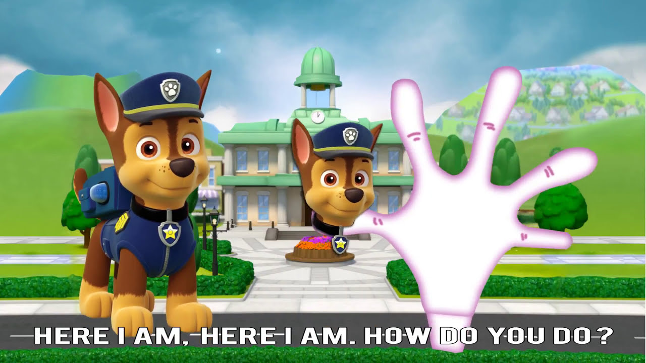 Paw Patrol Finger Family/Finger Family songs /  Finger family Nursery Rhymes