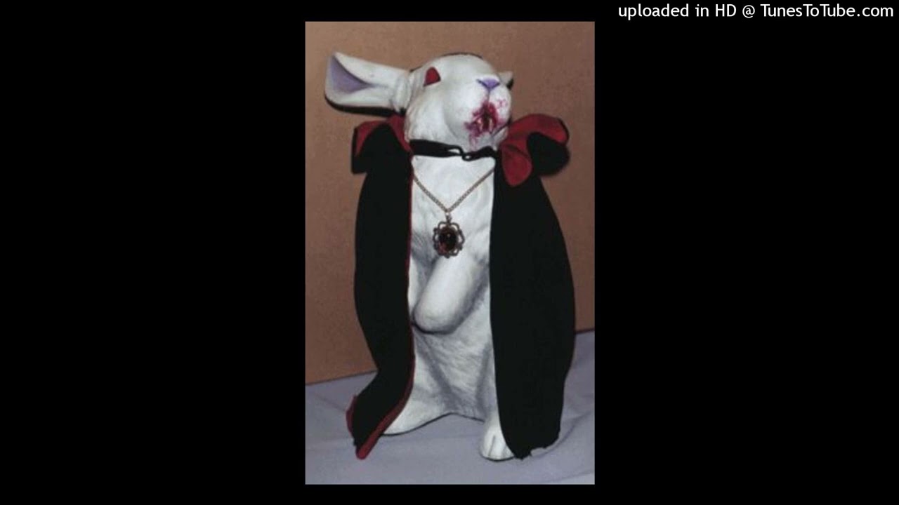emo x jerk x lil tracy type beat - vamp bunny
