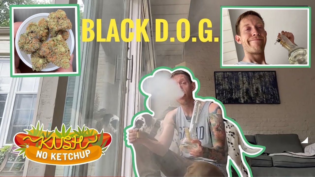 Black D.O.G Strain Review | KUSH NO KETCHUP