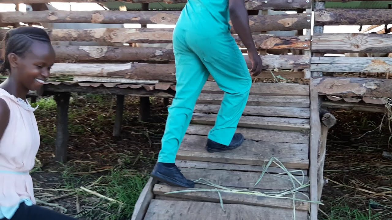 Sifa muhimu za banda la kufugia mbuzi au kondoo