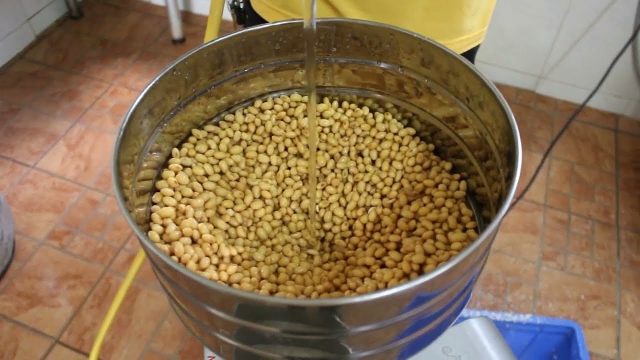 Proceso y Elaboración de leche de Soja