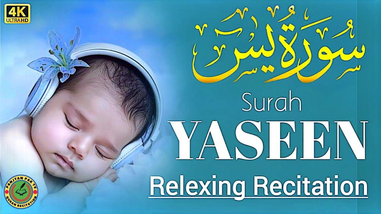 Surah Yaseen |سورة یٰسین| Full Tilawat with Translation | By Hafiz Abid Haidri |Panjtan pak Tv