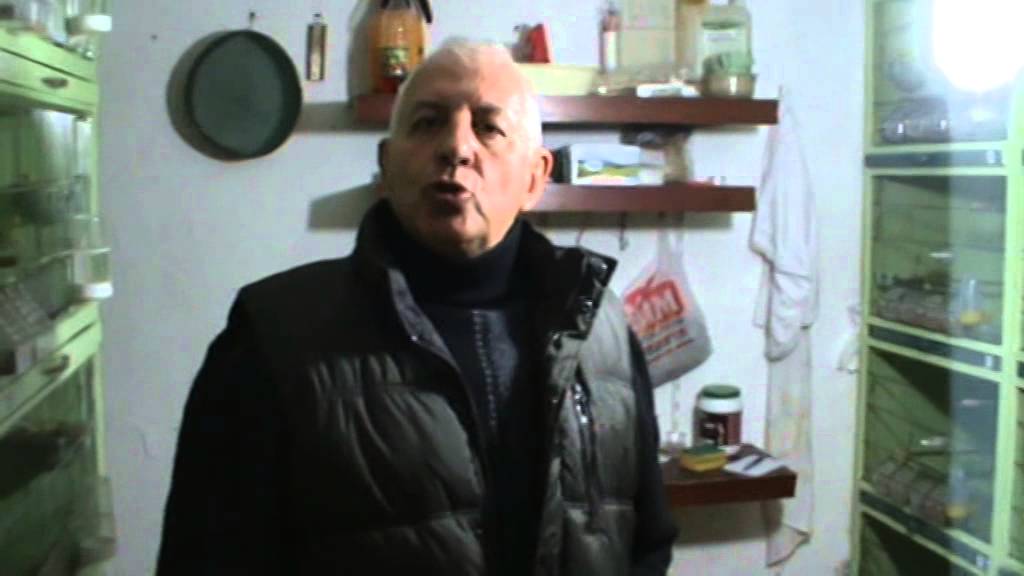 Mustafa Algür ün MALİNUALARI-1