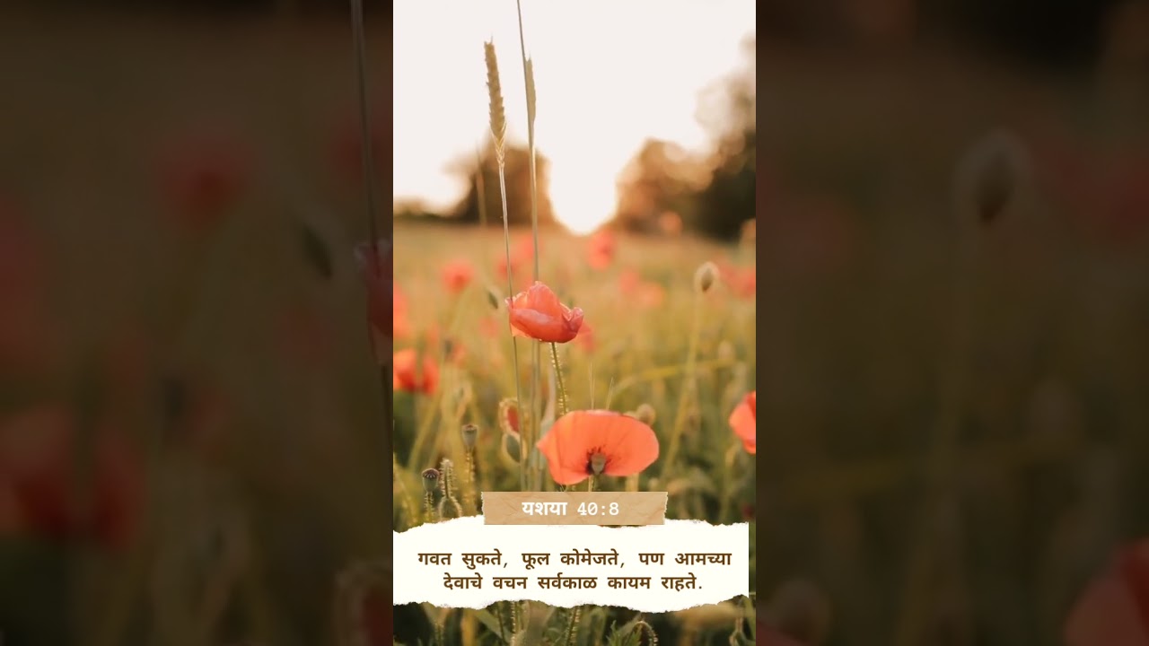 Marathi Christian Status/ Marathi Bible Verse #shorts #viral #christianstatus #bible #whtsapp_status