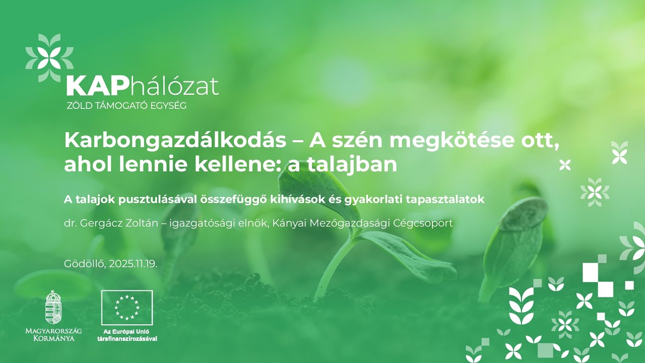 A talajok pusztulásával összefüggő kihívások és gyakorlati tapasztalatok