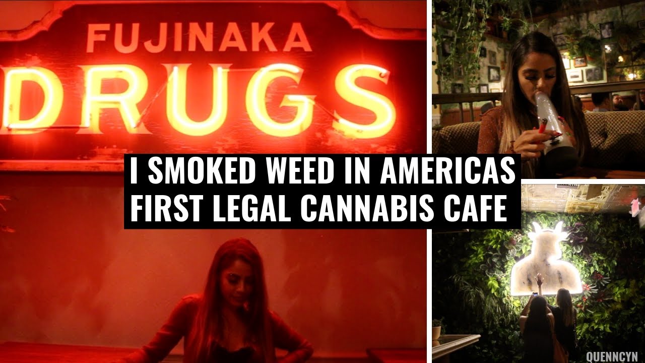 I Smoked Weed In Americas First Legal Cannabis Cafe | Queencyn