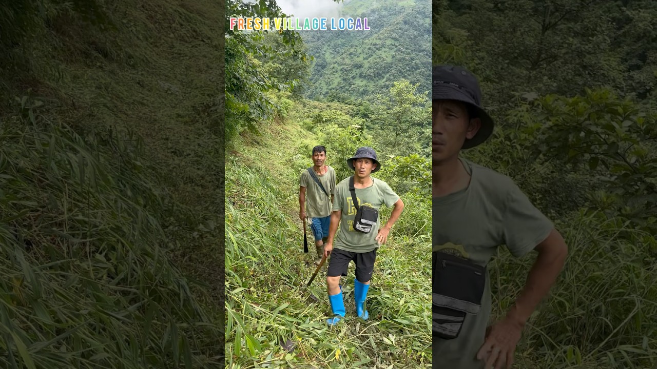 Lazu to ponkong road cutting || 