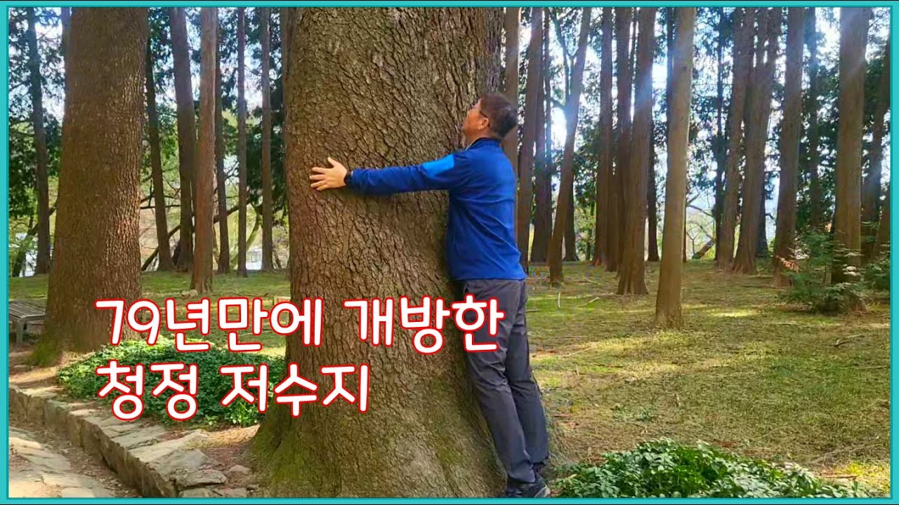 걷기만 해도 힐링, 몸과 마음의 휴식 여행지 #법기수원지 #양산가볼만한곳 (2023-10-29)