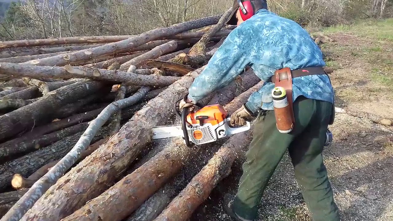 Chargement de grumes avec remorque forestière artisanale .