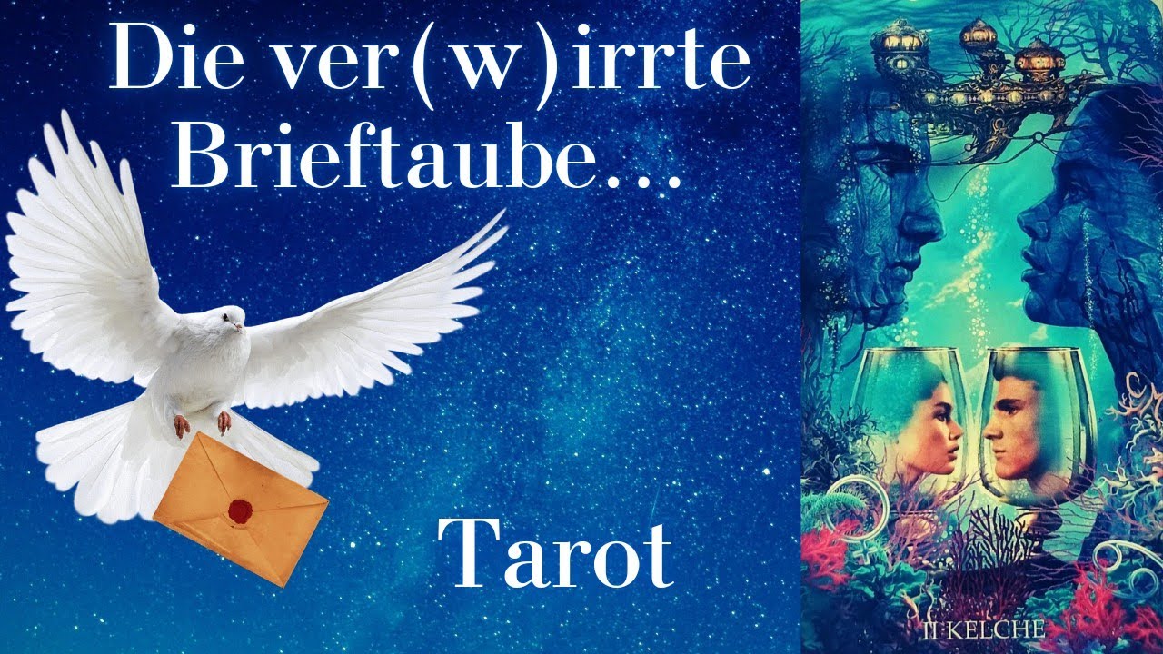 Liebe❤Der Verstand ist grade so so laut, alte Themen zeigen sich noch mal🌪🙏🌌🤍 #tarot #orakel #liebe