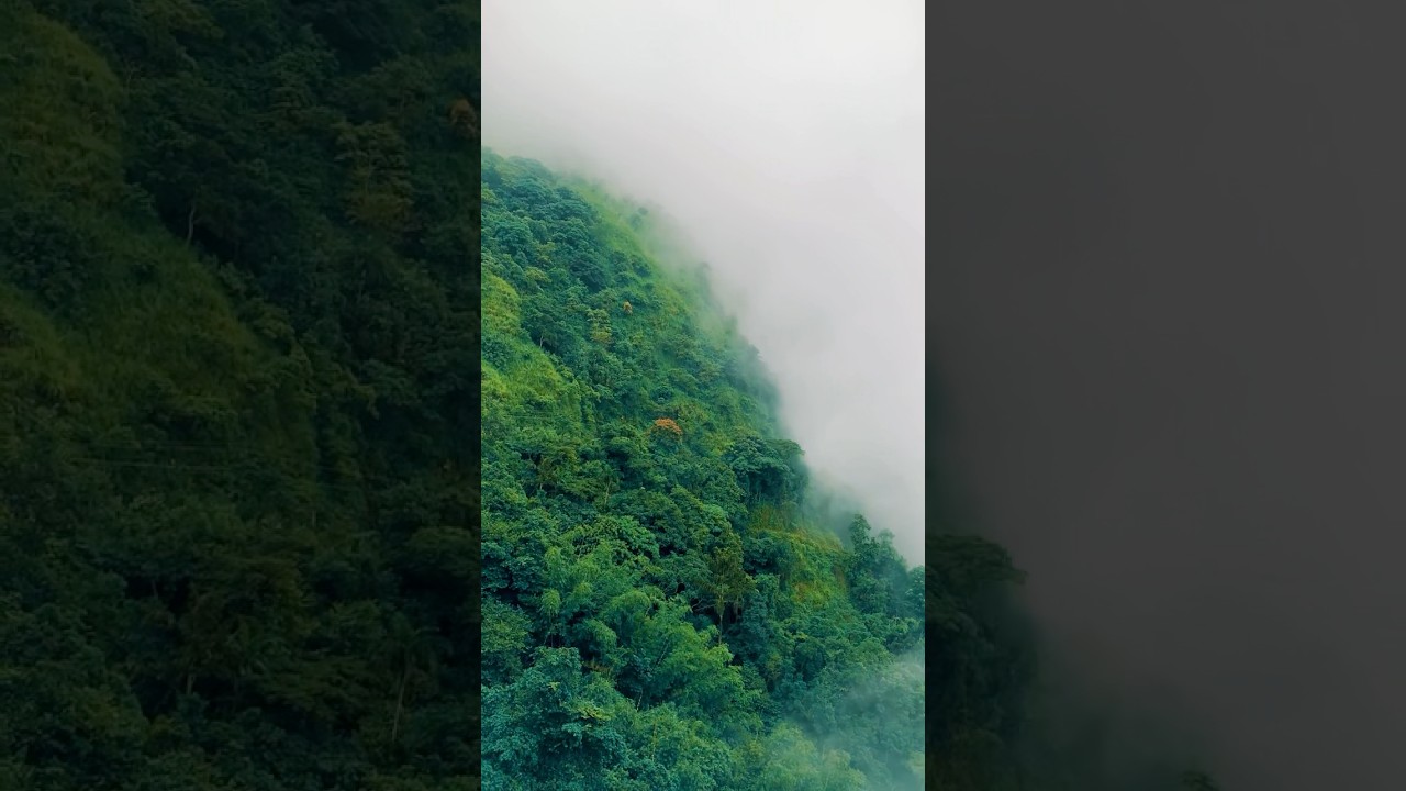 📍Vagamon #nature #beauty #vagamon #idukki
