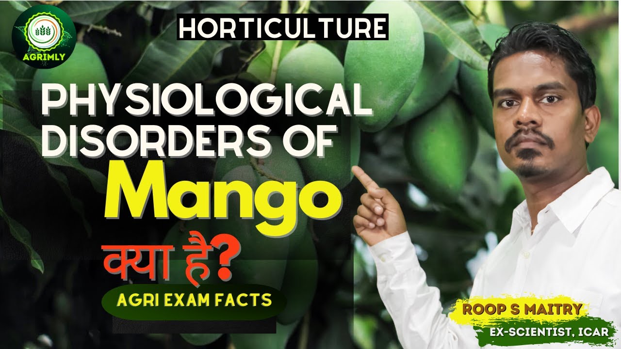 Physiological Disorders of Mango ll All Agri Exam like IBPS NABARD ICAR CUET by Maitry Sir