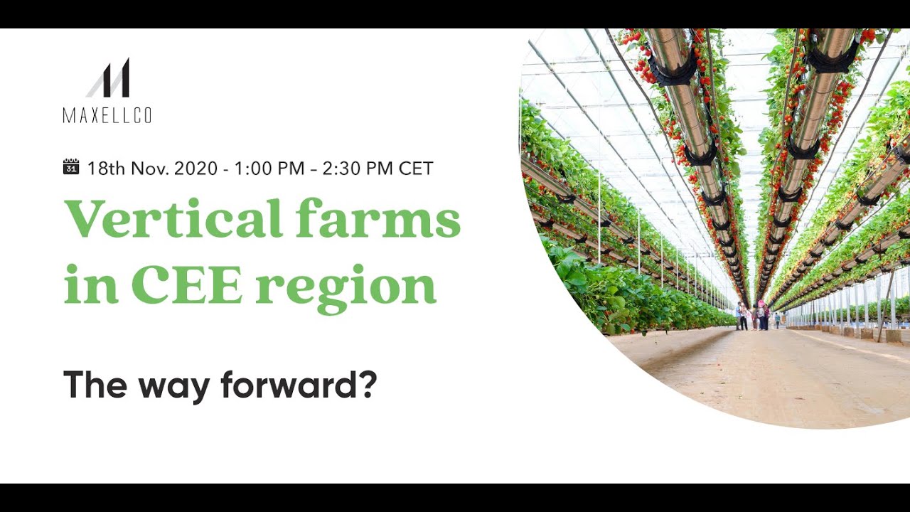 Water Control Automation - Ares Ferrini - Founder & CEO @Wall Farms