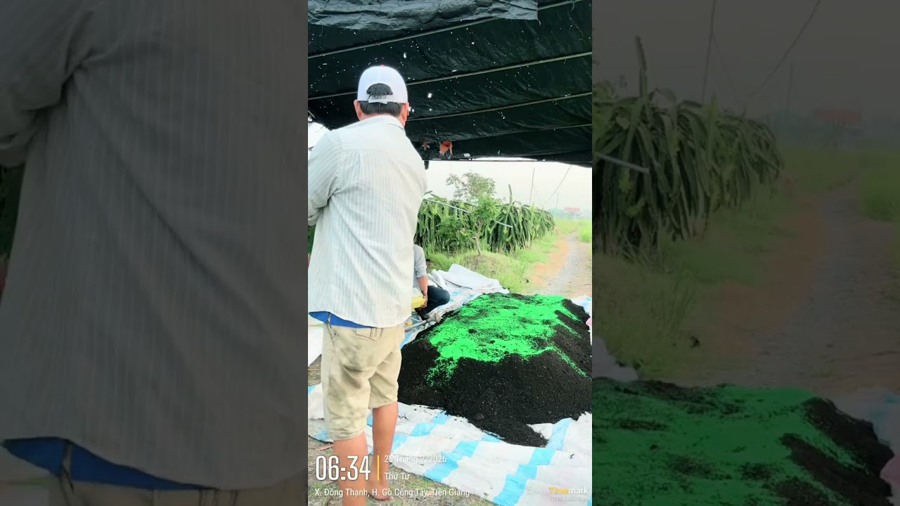 GIÁ CÓ BIẾN ĐỘNG NHƯ THẾ NÀO TRONG BẢN TIN 12 GIỜ TRƯA NAY.