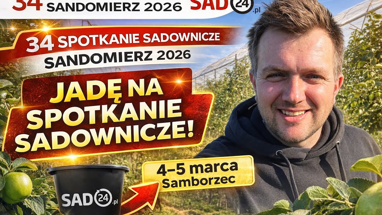 Z cyklu 