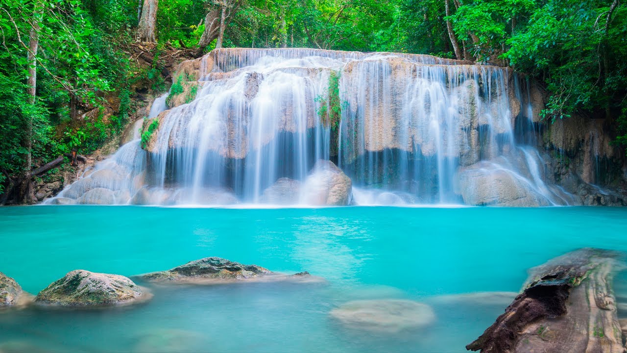 Cachoeira e Paz 🍃 M&uacute;sica Relaxante com Suave Sons de &Aacute;gua e Natureza para Meditar e Acalmar