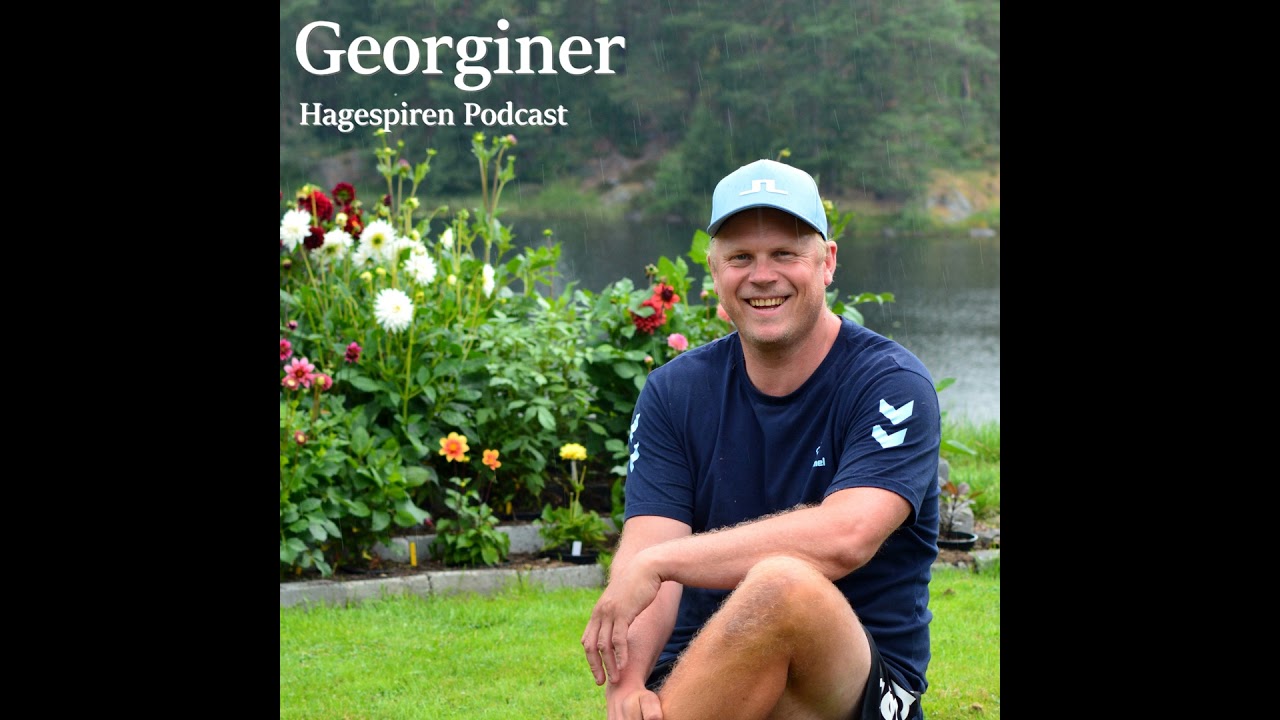 35/25: Georginer med Svein Olaf Olsbu