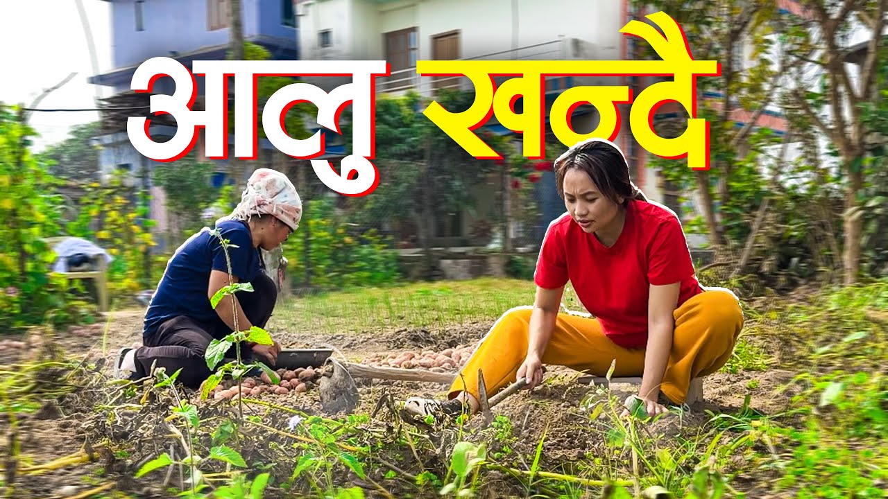 aaja ko din yesari Bityo 🫶