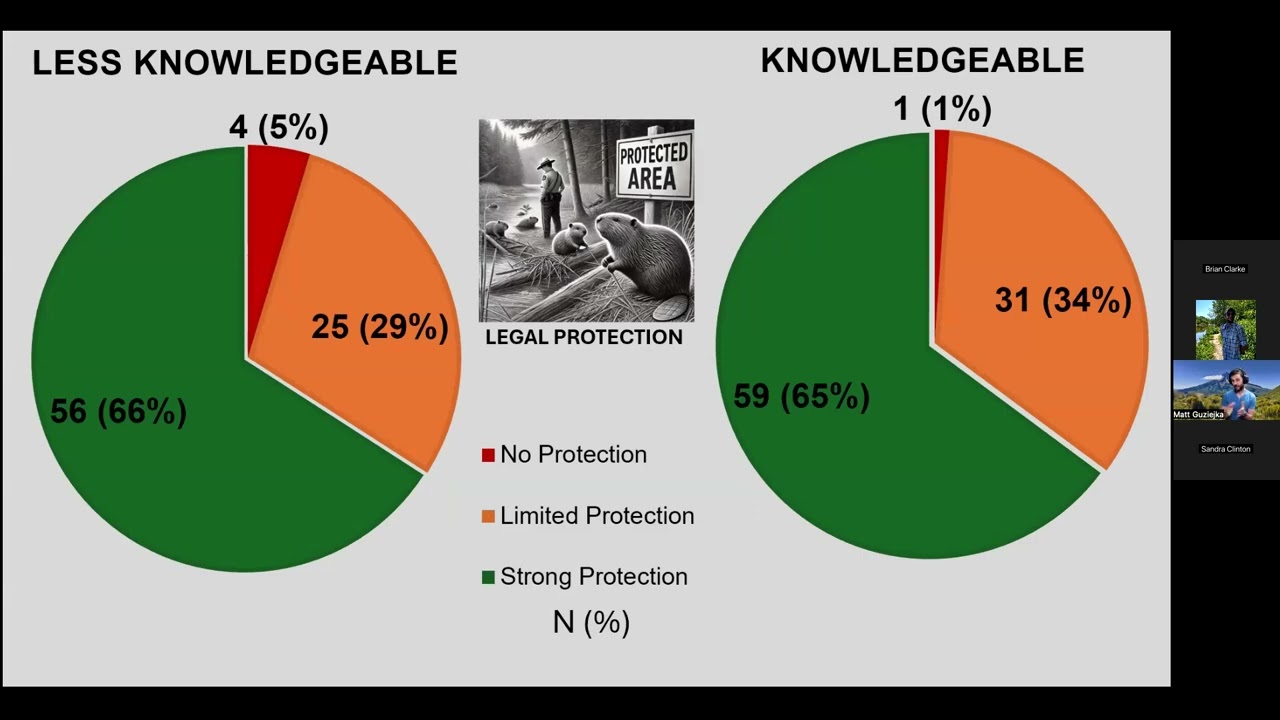 Beaver Science Speaker Series: Matt Guziejka, Public Perceptions of Beavers in Urban Environments