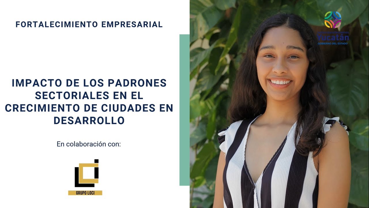 IMPACTO DE LOS PADRONES SECTORIALES EN EL CRECIMIENTO DE CIUDADES EN DESARROLLO