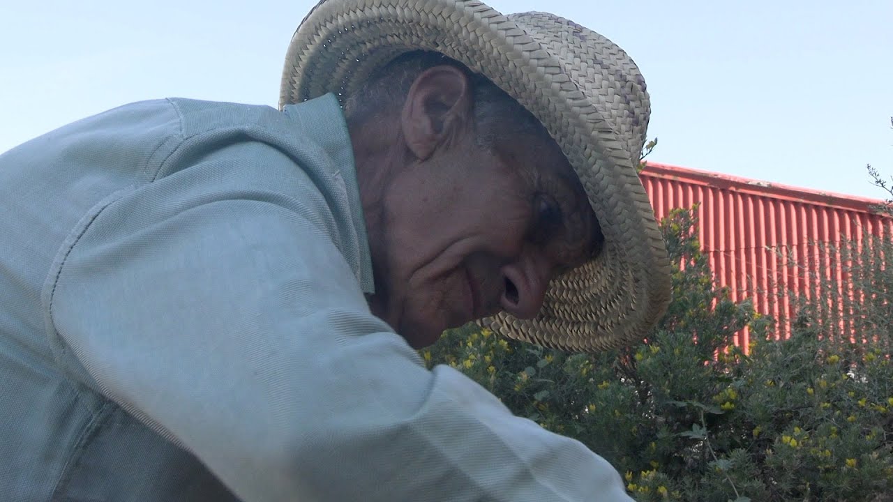 Un ceutí de 75 años construye unas escaleras en pleno monte de Loma Colmenar