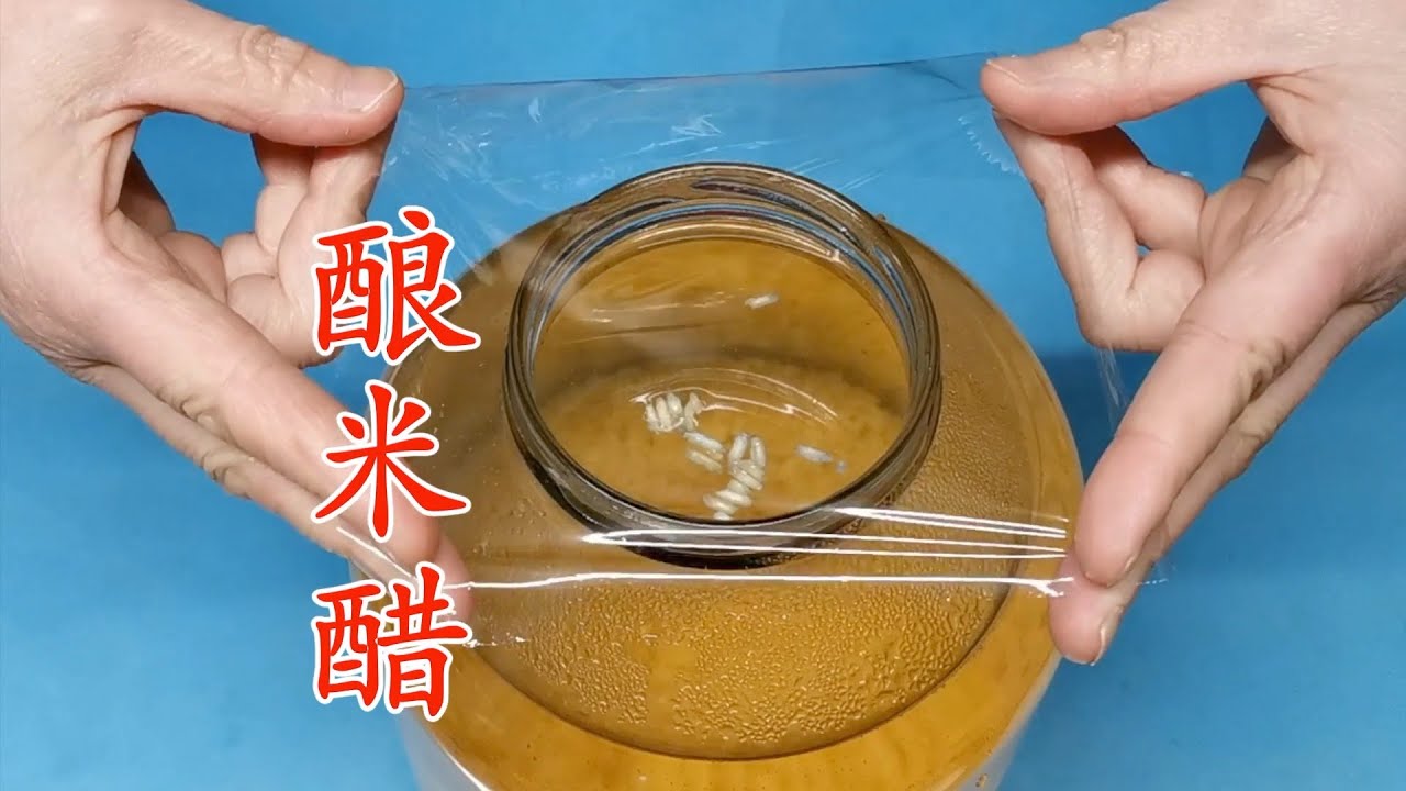 最简单方法自制米醋 酸味柔和不刺激 White rice vinegar