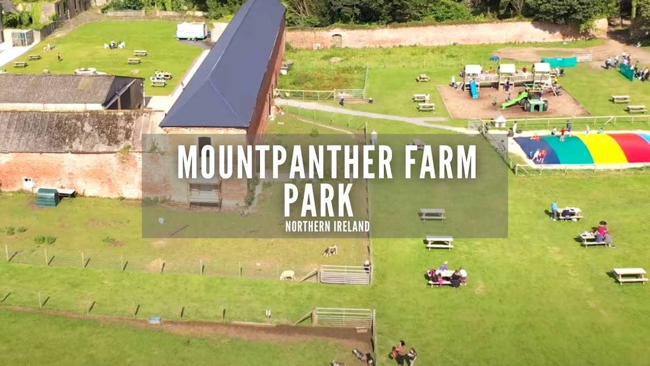 Mountpanther Farm Park | Mount Panther Farm | Downpatrick | Things to Do in Northern Ireland