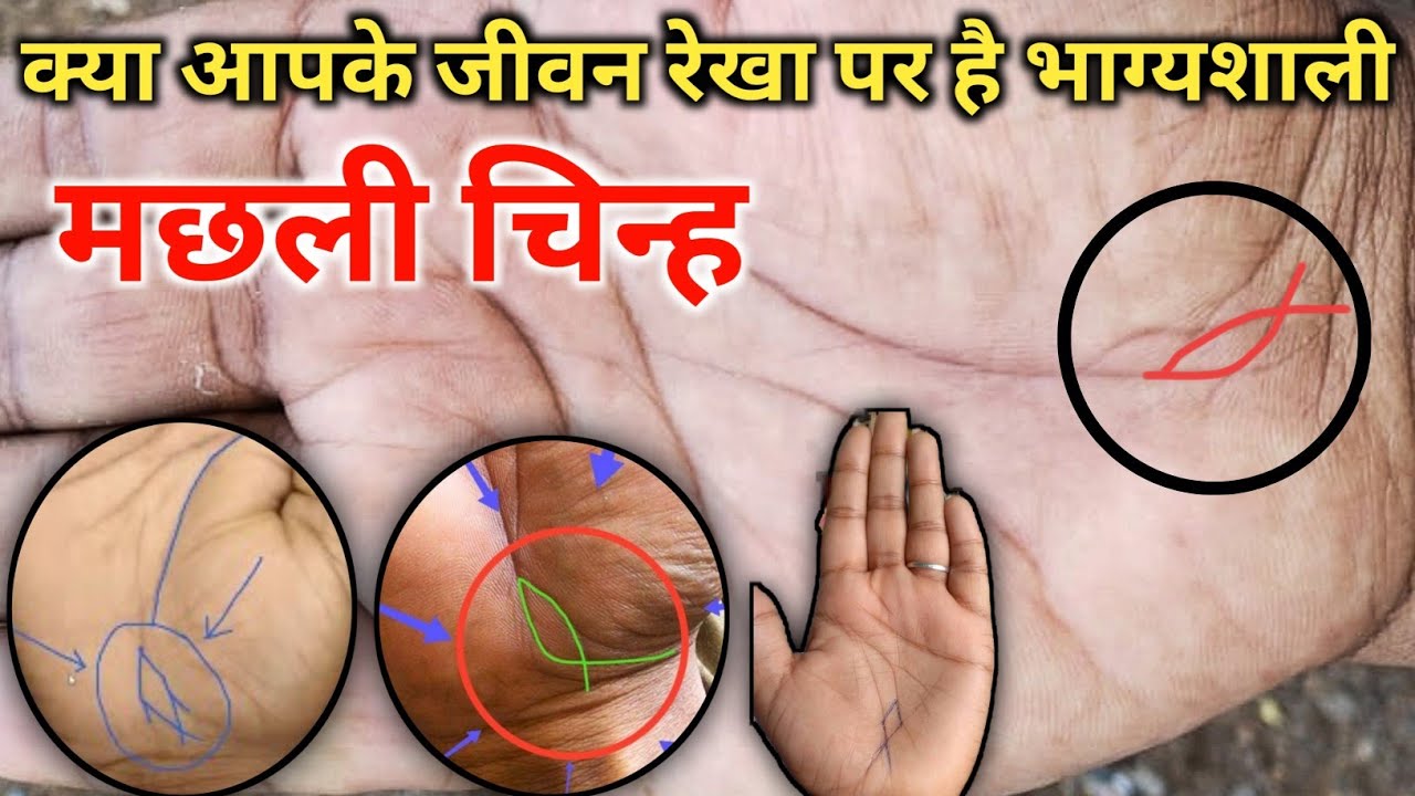 जीवन रेखा के अंत में मछली चिन्ह का होना। केतु पर्वत पर बहुत ही भाग्यशाली मछली का चिन्ह। #palmistry