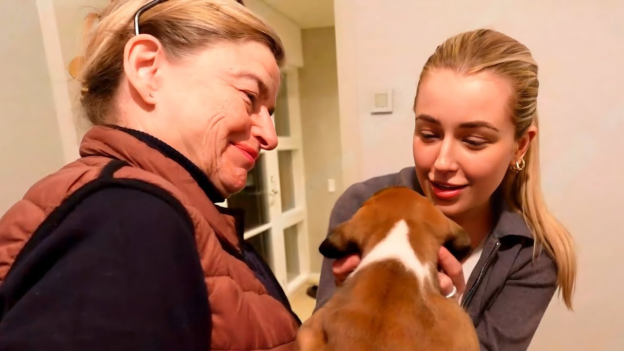 Bes&oslash;ger vores hundehvalpe 🥰