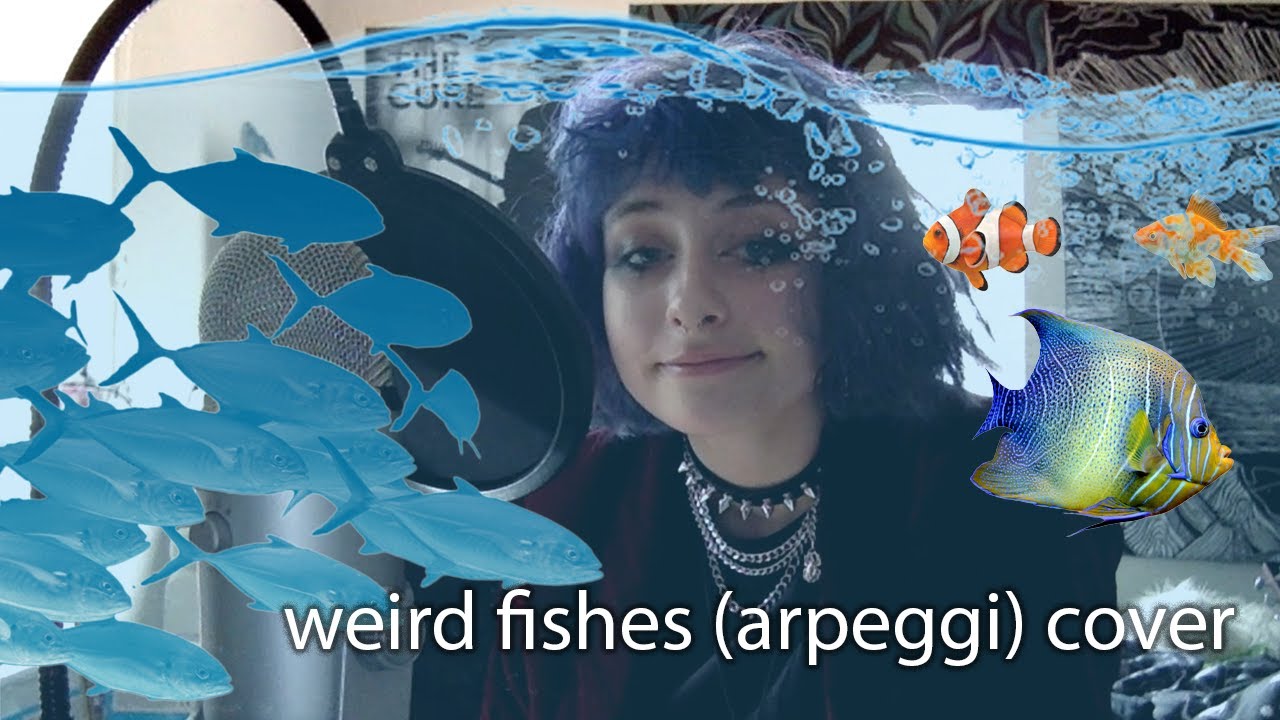 weird fishes - radiohead [cover]