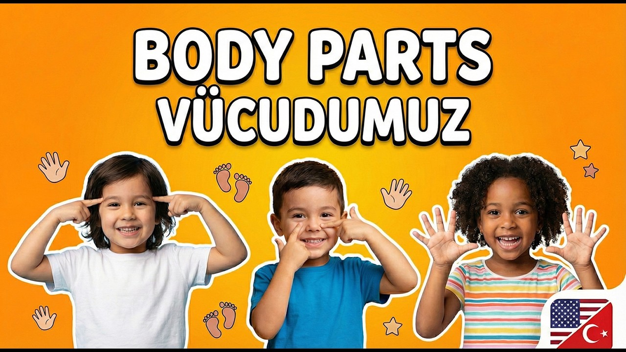 Learn Body Parts / Vücudumuzu Tanıyalım 🖐️👁️ Lingo Junior Tv