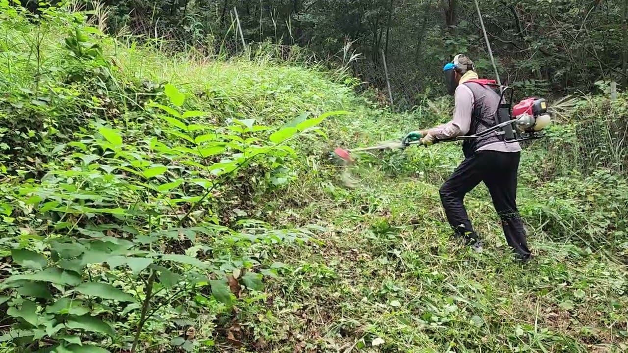# 조상님 # 추석맞지# 벌초